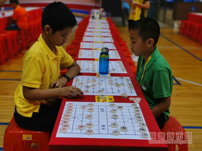 順德體育設施 順德體育設施