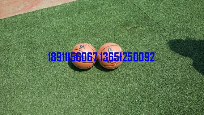 籃球，小籃球，少年籃球