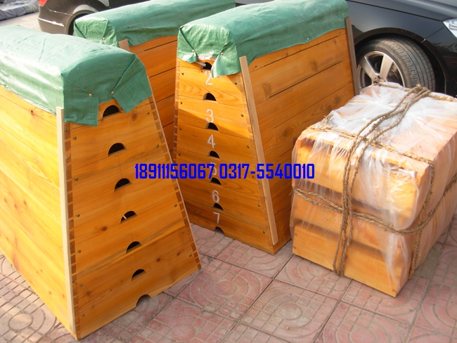 五節(jié)、七節(jié)跳箱