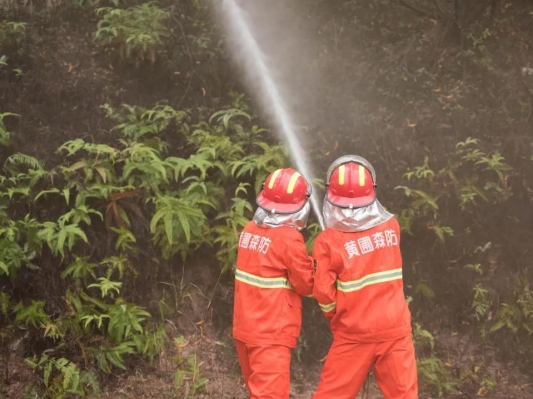 及時(shí)防控山林火災(zāi)“險(xiǎn)情”，黃圃鎮(zhèn)開展森林火災(zāi)應(yīng)急處置演練