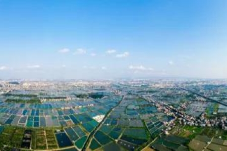 掛牌啦！阜沙鎮(zhèn)這些村獲省級(jí)榮譽(yù)