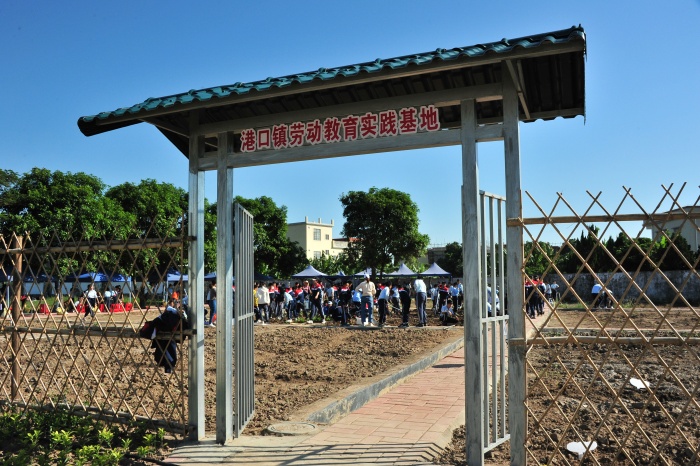 港口鎮(zhèn)勞動實踐基地