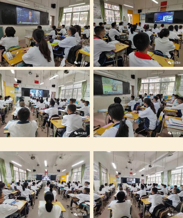 1655707291205094463.jpg 6.jpg