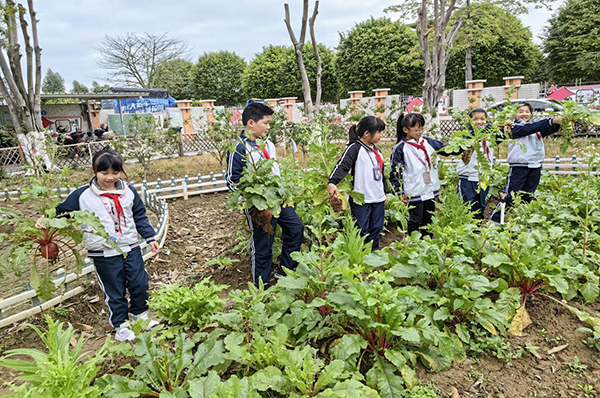 1675955686428065002.jpg 圖片1.jpg