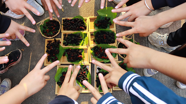 1680566539230016635.png image.png