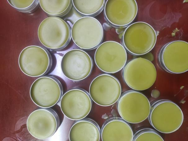 1664253447507021741.png image.png