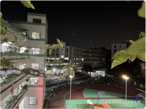 1683163116884017167.png image.png