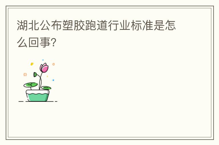 湖北公布塑膠跑道行業(yè)標準是怎么回事？