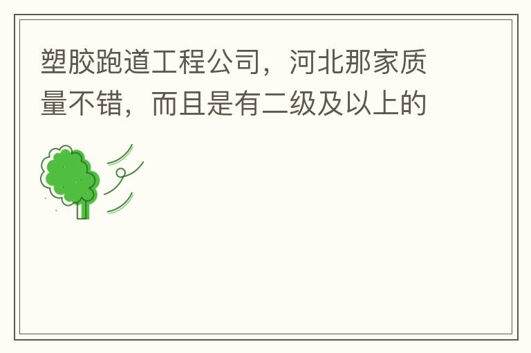 塑膠跑道工程公司，河北那家質(zhì)量不錯，而且是有二級及以上的公司