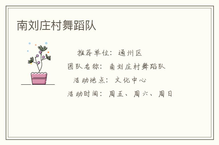 南劉莊村舞蹈隊(duì)