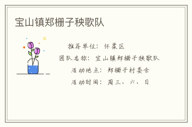 寶山鎮(zhèn)鄭柵子秧歌隊