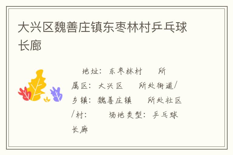 大興區(qū)魏善莊鎮(zhèn)東棗林村乒乓球長廊