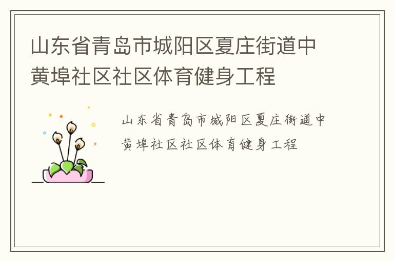 山東省青島市城陽(yáng)區(qū)夏莊街道中黃埠社區(qū)社區(qū)體育健身工程