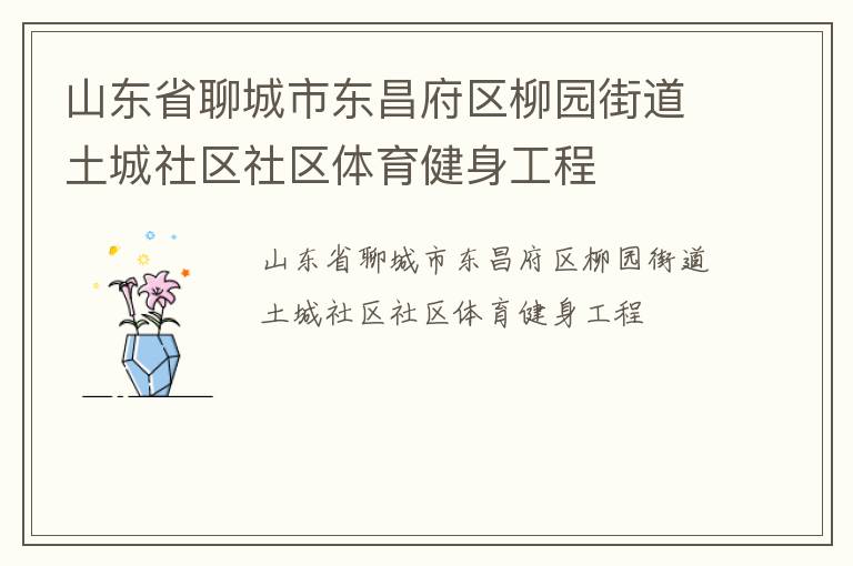 山東省聊城市東昌府區(qū)柳園街道土城社區(qū)社區(qū)體育健身工程