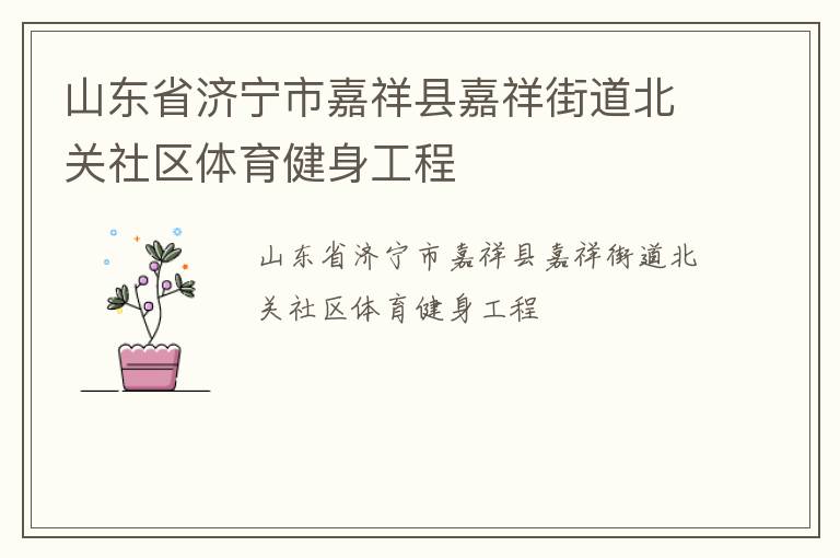 山東省濟寧市嘉祥縣嘉祥街道北關(guān)社區(qū)體育健身工程