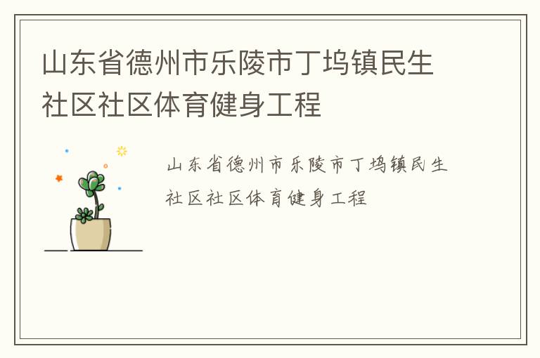 山東省德州市樂陵市丁塢鎮(zhèn)民生社區(qū)社區(qū)體育健身工程