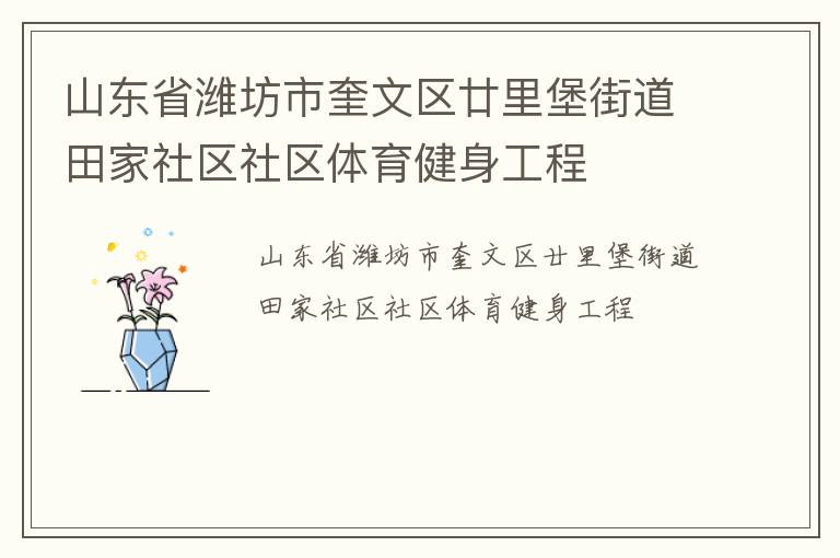 山東省濰坊市奎文區(qū)廿里堡街道田家社區(qū)社區(qū)體育健身工程
