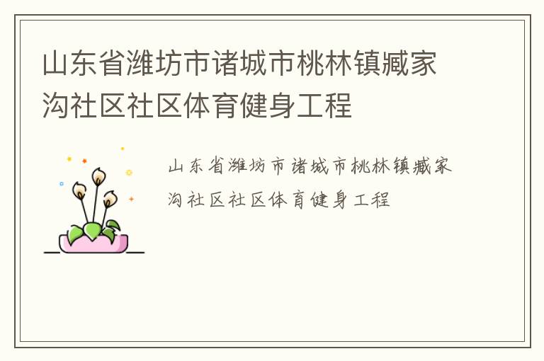 山東省濰坊市諸城市桃林鎮(zhèn)臧家溝社區(qū)社區(qū)體育健身工程