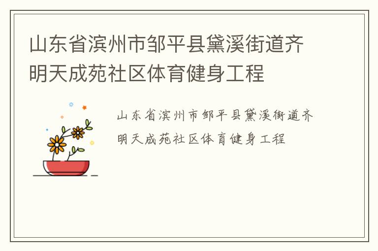 山東省濱州市鄒平縣黛溪街道齊明天成苑社區(qū)體育健身工程