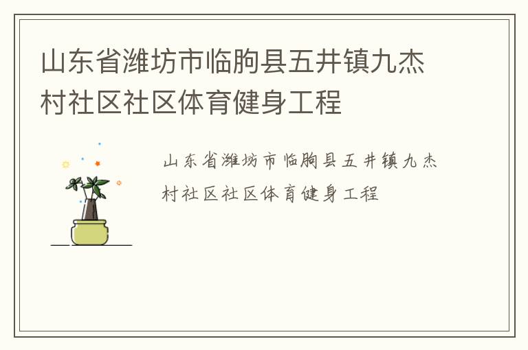 山東省濰坊市臨朐縣五井鎮(zhèn)九杰村社區(qū)社區(qū)體育健身工程