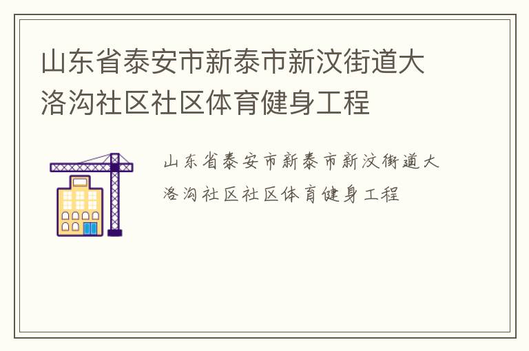 山東省泰安市新泰市新汶街道大洛溝社區(qū)社區(qū)體育健身工程