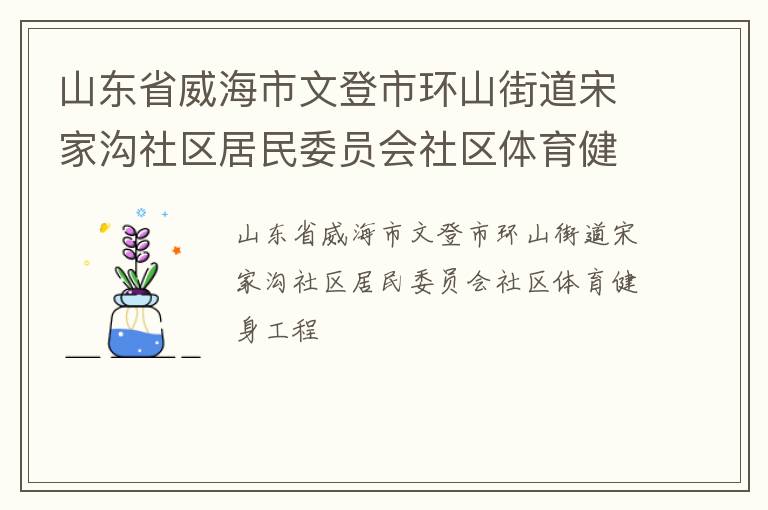 山東省威海市文登市環(huán)山街道宋家溝社區(qū)居民委員會社區(qū)體育健身工程