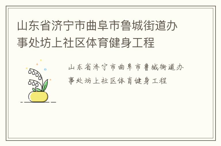 山東省濟寧市曲阜市魯城街道辦事處坊上社區(qū)體育健身工程