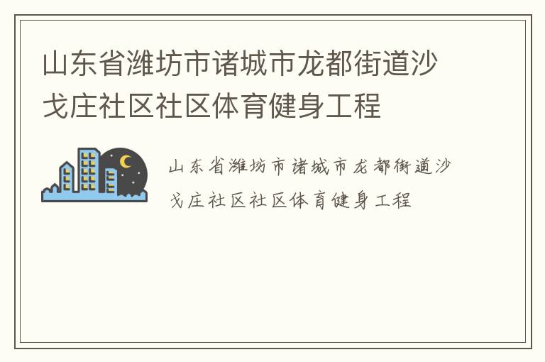 山東省濰坊市諸城市龍都街道沙戈莊社區(qū)社區(qū)體育健身工程