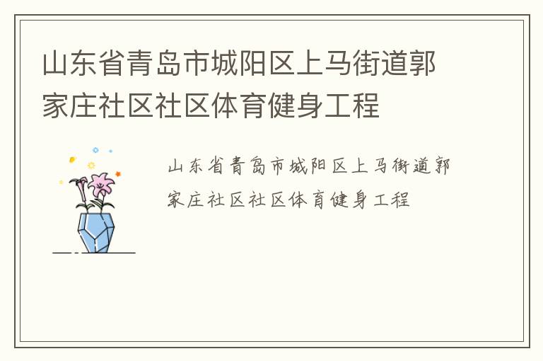 山東省青島市城陽區(qū)上馬街道郭家莊社區(qū)社區(qū)體育健身工程