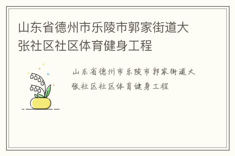 山東省德州市樂陵市郭家街道大張社區(qū)社區(qū)體育健身工程