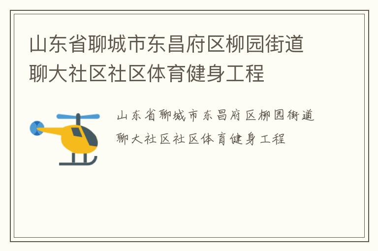 山東省聊城市東昌府區(qū)柳園街道聊大社區(qū)社區(qū)體育健身工程