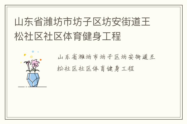 山東省濰坊市坊子區(qū)坊安街道王松社區(qū)社區(qū)體育健身工程