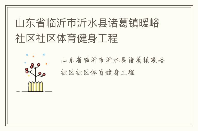 山東省臨沂市沂水縣諸葛鎮(zhèn)暖峪社區(qū)社區(qū)體育健身工程