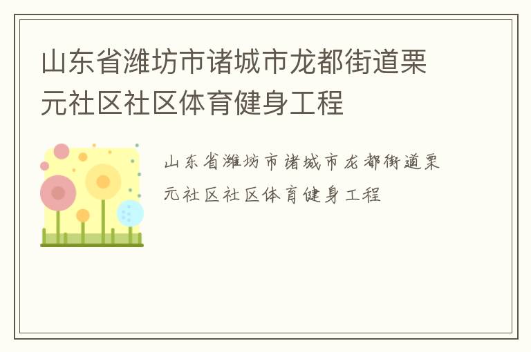 山東省濰坊市諸城市龍都街道栗元社區(qū)社區(qū)體育健身工程