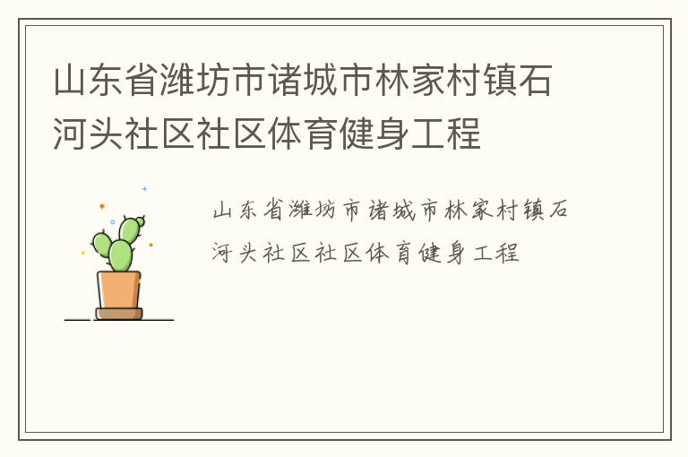 山東省濰坊市諸城市林家村鎮(zhèn)石河頭社區(qū)社區(qū)體育健身工程