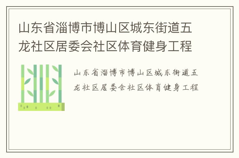 山東省淄博市博山區(qū)城東街道五龍社區(qū)居委會(huì)社區(qū)體育健身工程