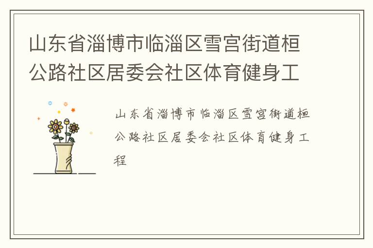 山東省淄博市臨淄區(qū)雪宮街道桓公路社區(qū)居委會社區(qū)體育健身工程