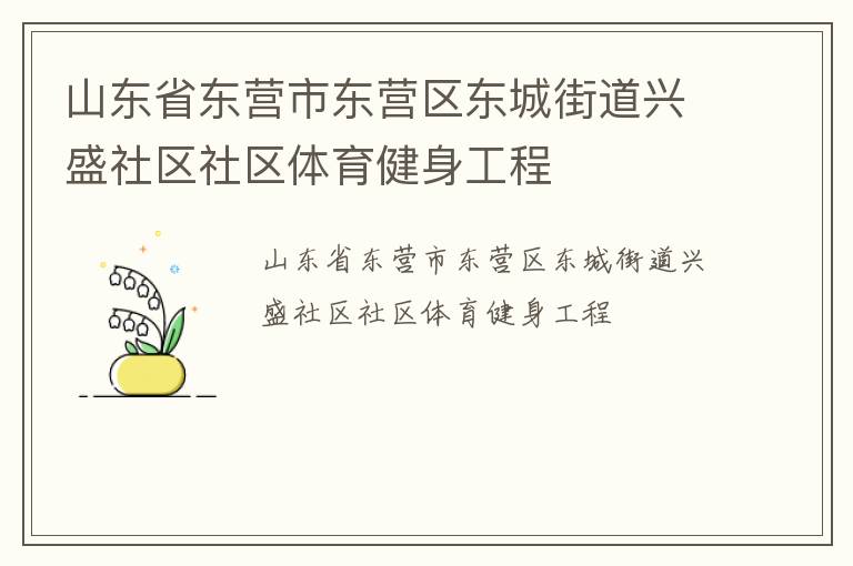 山東省東營市東營區(qū)東城街道興盛社區(qū)社區(qū)體育健身工程