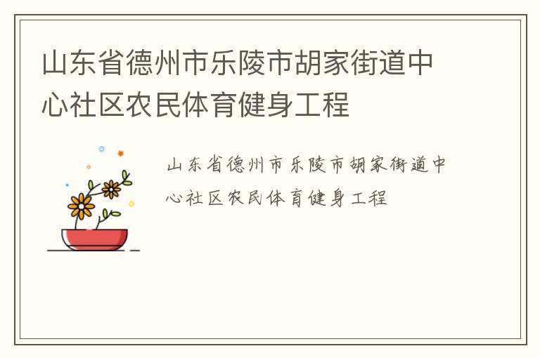 山東省德州市樂陵市胡家街道中心社區(qū)農(nóng)民體育健身工程