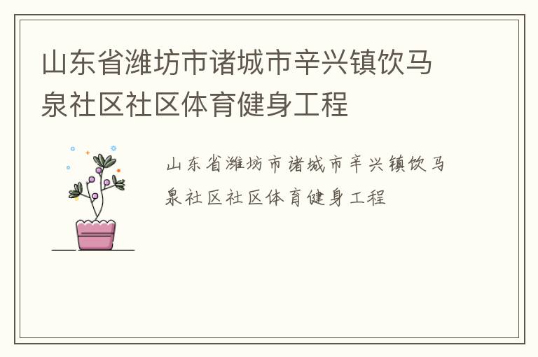 山東省濰坊市諸城市辛興鎮(zhèn)飲馬泉社區(qū)社區(qū)體育健身工程