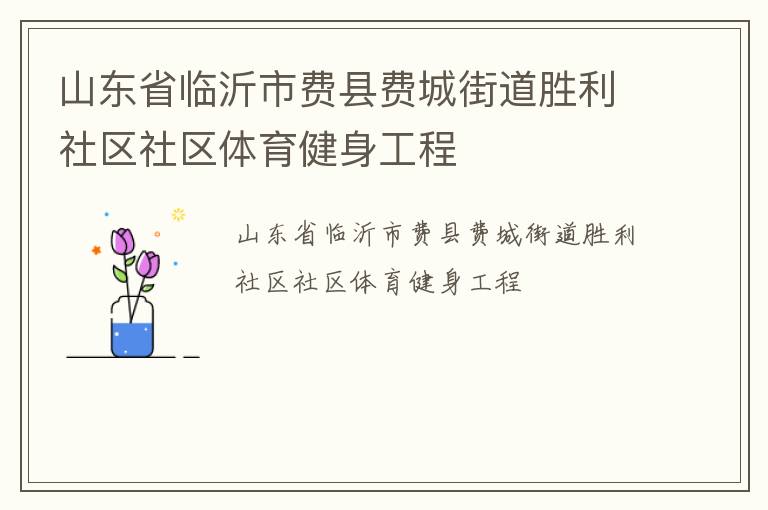 山東省臨沂市費縣費城街道勝利社區(qū)社區(qū)體育健身工程