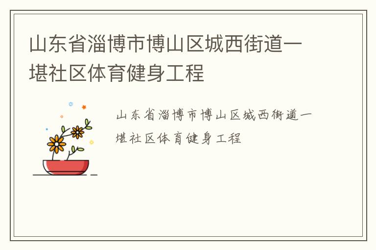 山東省淄博市博山區(qū)城西街道一堪社區(qū)體育健身工程