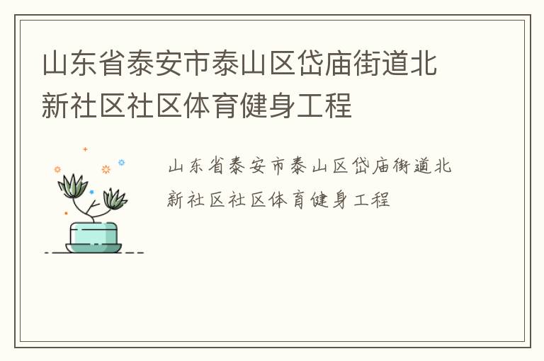 山東省泰安市泰山區(qū)岱廟街道北新社區(qū)社區(qū)體育健身工程