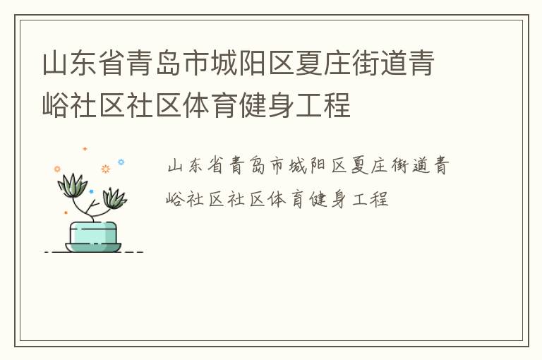山東省青島市城陽區(qū)夏莊街道青峪社區(qū)社區(qū)體育健身工程