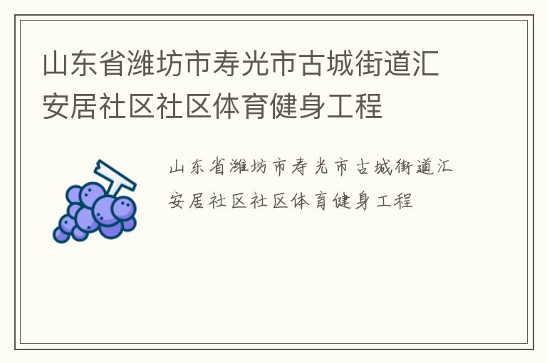 山東省濰坊市壽光市古城街道匯安居社區(qū)社區(qū)體育健身工程