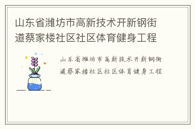 山東省濰坊市高新技術開新鋼街道蔡家樓社區(qū)社區(qū)體育健身工程