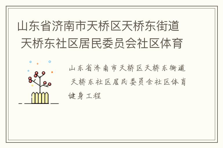 山東省濟(jì)南市天橋區(qū)天橋東街道 天橋東社區(qū)居民委員會(huì)社區(qū)體育健身工程