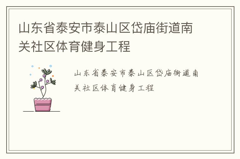 山東省泰安市泰山區(qū)岱廟街道南關社區(qū)體育健身工程