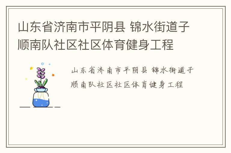 山東省濟南市平陰縣 錦水街道子順南隊社區(qū)社區(qū)體育健身工程