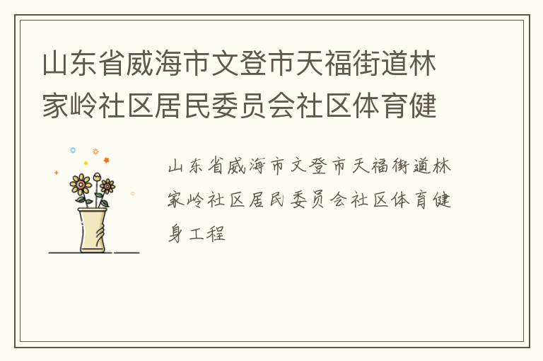 山東省威海市文登市天福街道林家?guī)X社區(qū)居民委員會(huì)社區(qū)體育健身工程